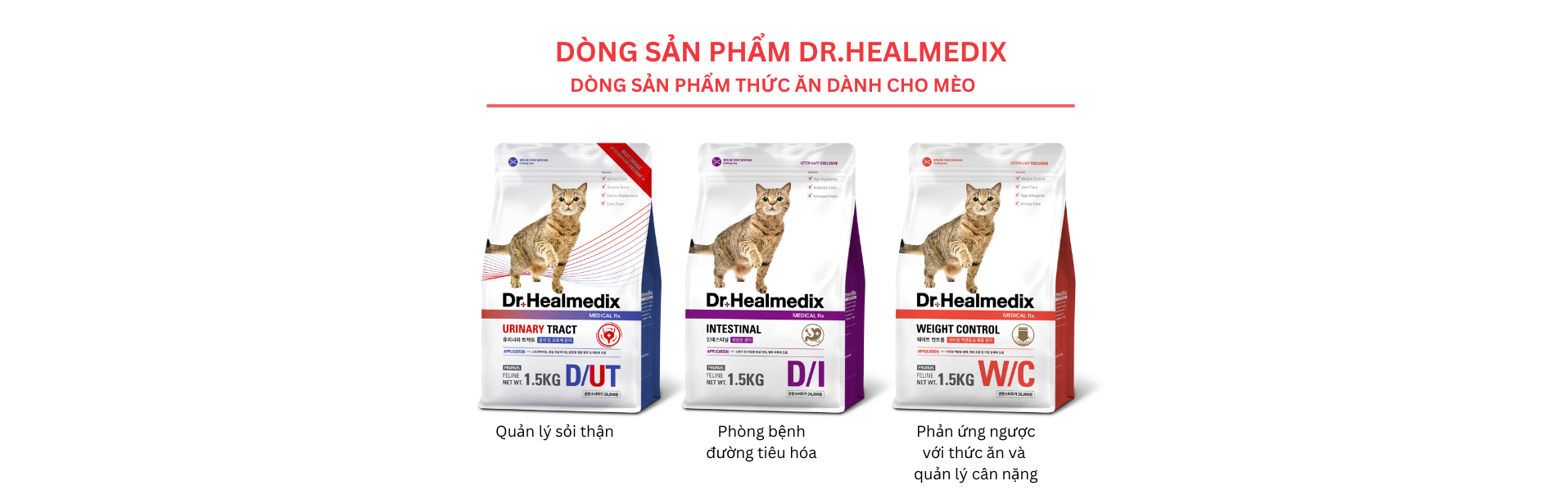 CHD Việt Nam