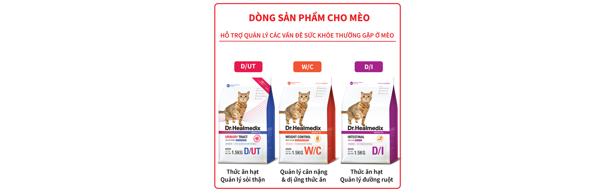 CHD Việt Nam